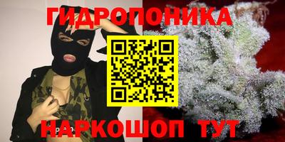 СК Гусь-Хрустальный